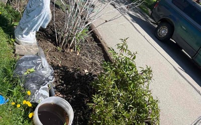 Photo of Megan R.'s yard after getting landscaping in Pittsburgh, PA