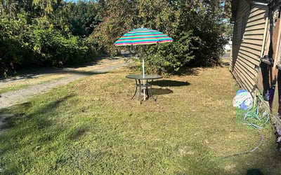Photo of Johanna C.'s yard after getting tree care in Puyallup, WA