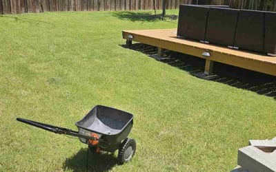 Photo of William M.'s yard after getting landscaping in Little Elm, TX