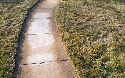 Photo of Jason W.'s yard after getting landscaping in Agate, CO