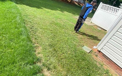 Photo of James K.'s yard after getting landscaping in Charlotte, NC