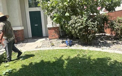 Photo of Andrew F.'s yard after getting landscaping in Modesto, CA