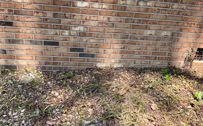 Photo of Adam B.'s yard after getting landscaping in Doswell, VA