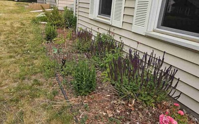 Photo of John C.'s yard after getting landscaping in Marine On Saint Croix, MN