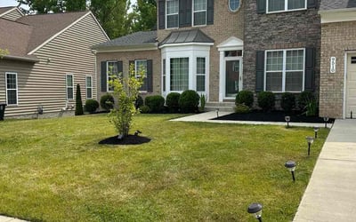 Photo of Faterah J.'s yard after getting landscaping in Rixeyville, VA