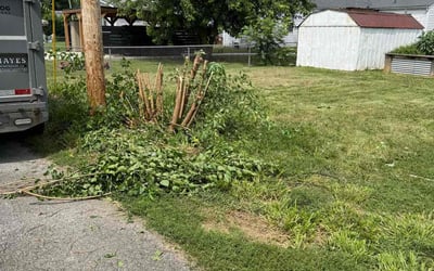 Photo of Ashley B.'s yard after getting landscaping in Bargersville, IN