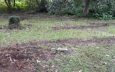 Photo of Jason S.'s yard after getting landscaping in Lamont, FL