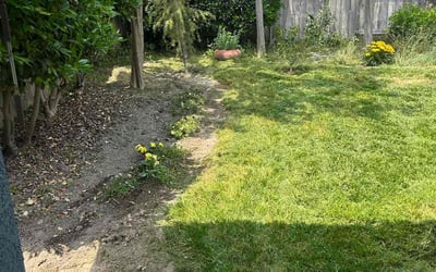 Photo of Sandra G.'s yard after getting landscaping in Fresno, CA