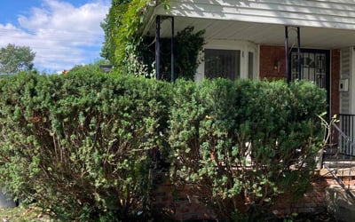 Photo of Deborah B.'s yard after getting landscaping in Grosse Pointe, MI