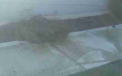 Photo of Adam M.'s yard after getting landscaping in Cameron, MO