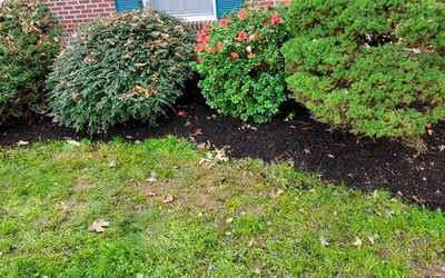 Photo of Christina W.'s yard after getting landscaping in Wingate, NC