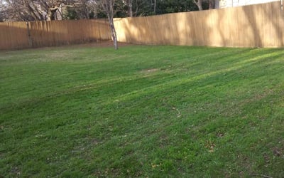 Photo of Lauren B.'s yard after getting landscaping in Millsap, TX