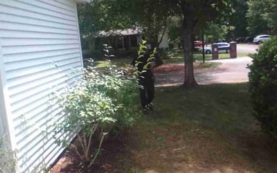 Photo of Lindsey L.'s yard after getting tree care in Kannapolis, NC
