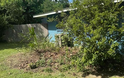 Photo of Anthony T.'s yard after getting landscaping in Denham Springs, LA