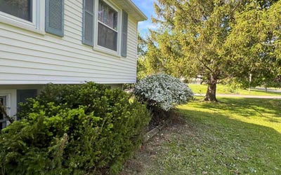Photo of Meagan T.'s yard after getting tree care in Webster, NY