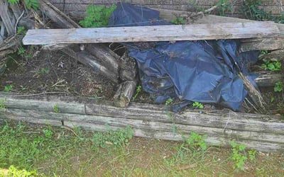 Photo of Carol G.'s yard after getting landscaping in El Dorado, KS