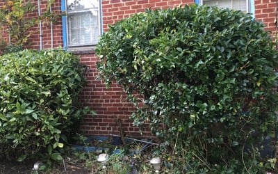 Photo of Robert S.'s yard after getting landscaping in Faulkner, MD