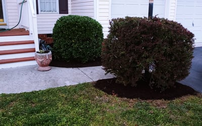 Photo of Jennifer F.'s yard after getting landscaping in Waverly, VA