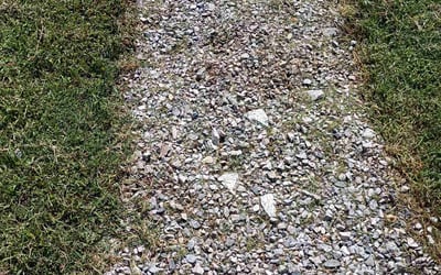 Photo of Kenneth H.'s yard after getting tree care in Hiram, GA