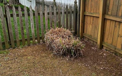 Photo of Stephanie C.'s yard after getting landscaping in Sykesville, MD