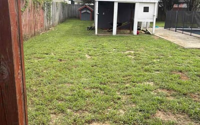 Photo of Hope S.'s yard after getting tree care in Asheville, NC