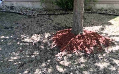 Photo of Eric L.'s yard after getting landscaping in Verona, WI