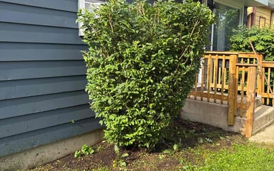 Photo of Paul G.'s yard after getting landscaping in Waukegan, IL