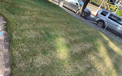 Photo of Ron B.'s yard after getting landscaping in Bealeton, VA