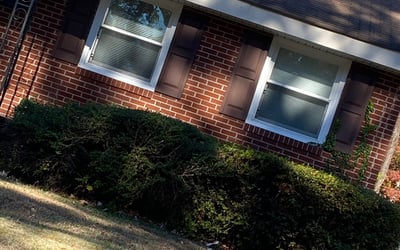 Photo of Christopher R.'s yard after getting landscaping in Woods Cross Roads, VA