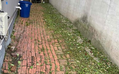 Photo of Dakota G.'s yard after getting tree care in York, PA