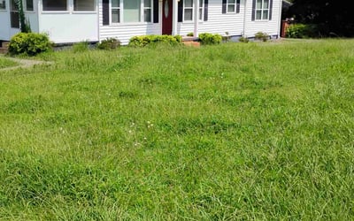 Photo of Matthew B.'s yard after getting landscaping in Kennesaw, GA