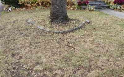 Photo of Megan R.'s yard after getting landscaping in Prescott, WI
