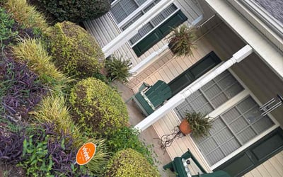 Photo of Jackie W.'s yard after getting landscaping in Anderson, SC