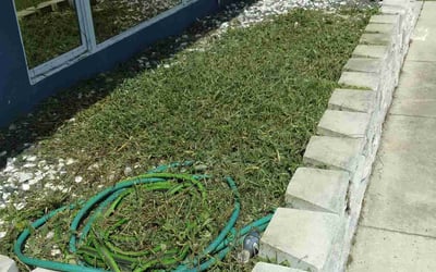 Photo of Tina S.'s yard after getting landscaping in Fort Myers Beach, FL