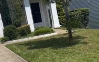 Photo of Linda Y.'s yard after getting tree care in Kannapolis, NC