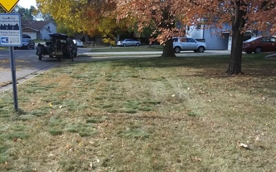 Photo of Pache L.'s yard after getting landscaping in Cologne, MN