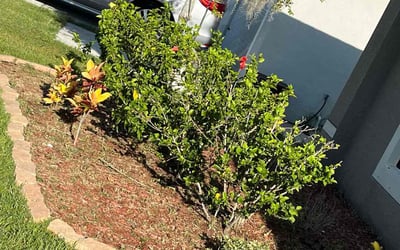 Photo of Lawrence C.'s yard after getting landscaping in Ruskin, FL
