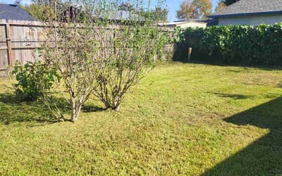 Photo of Paul S.'s yard after getting landscaping in Stowell, TX