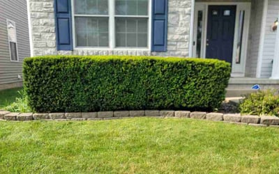 Photo of Aaron S.'s yard after getting landscaping in Saint Louisville, OH