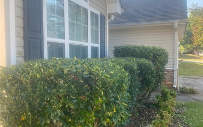 Photo of Tunisia M.'s yard after getting lawn care in Dallas, GA