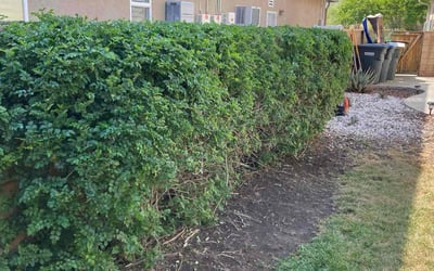 Photo of Jordan G.'s yard after getting landscaping in Desert Hot Springs, CA