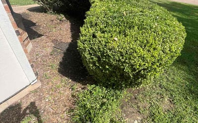 Photo of Betty B.'s yard after getting landscaping in Duncanville, TX