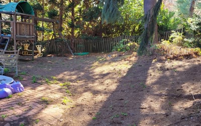 Photo of Randy W.'s yard after getting landscaping in North Beach, MD