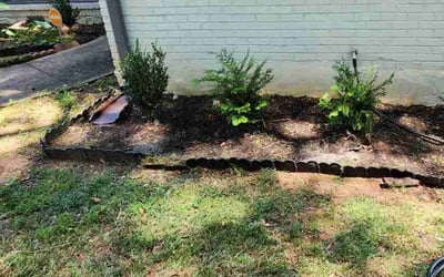 Photo of Bryan B.'s yard after getting landscaping in Good Hope, GA