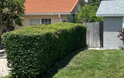 Photo of Mark K.'s yard after getting landscaping in Pompano Beach, FL
