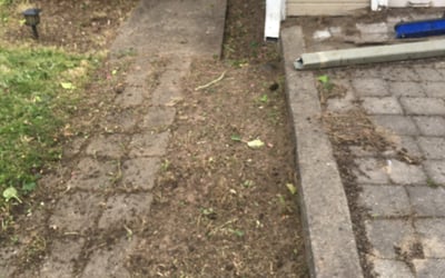 Photo of Mark A.'s yard after getting landscaping in Canby, OR