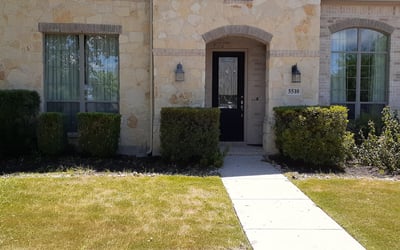 Photo of Bobbie M.'s yard after getting tree care in Schertz, TX
