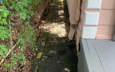 Photo of Nicole P.'s yard after getting landscaping in Lacombe, LA