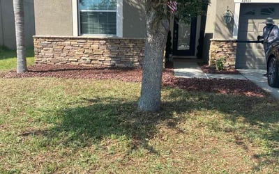Photo of Jessica M.'s yard after getting landscaping in Saint Leo, FL