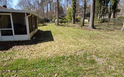 Photo of Cynthia N.'s yard after getting lawn care in Hickory, NC